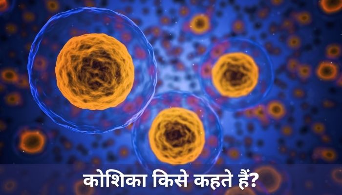 कोशिका किसे कहते हैं? | What Is Cell In Hindi