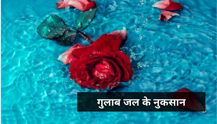 गुलाब जल के नुकसान | Side Effects Of Rose Water In Hindi