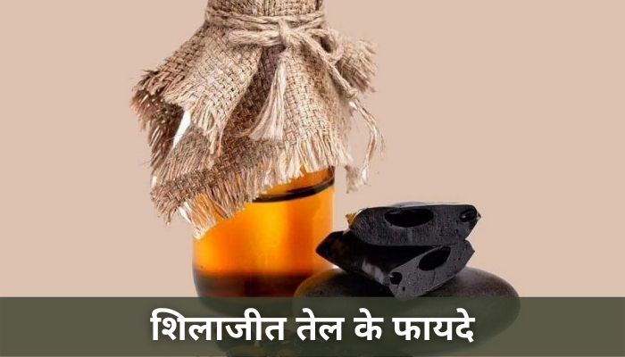 शिलाजीत तेल के फायदे | Shilajit Oil Benefits In Hindi