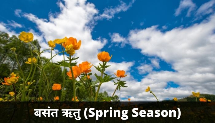 About Spring Season In Hindi: बसंत ऋतु के बारे में