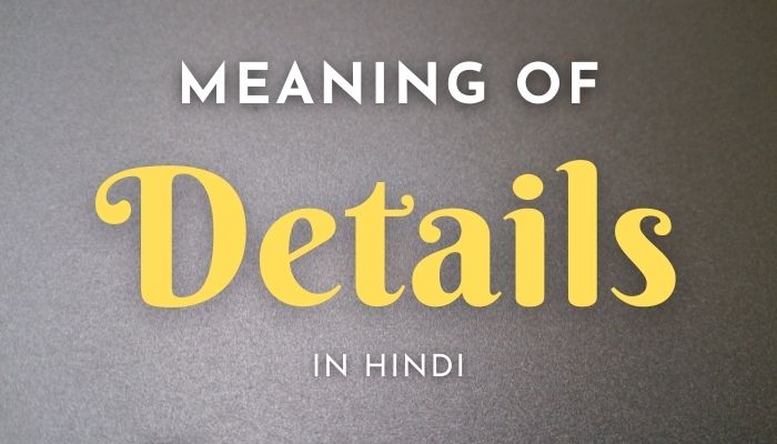 Details Meaning In Hindi | Details का मतलब क्या होता हैं?