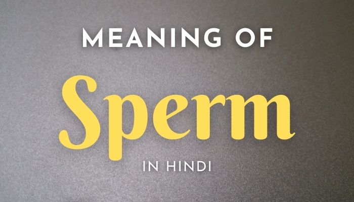 Sperm Meaning In Hindi | Sperm का मतलब क्या होता हैं?