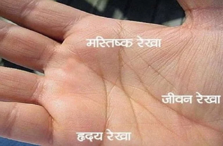 Hast Rekha Gyan in hindi