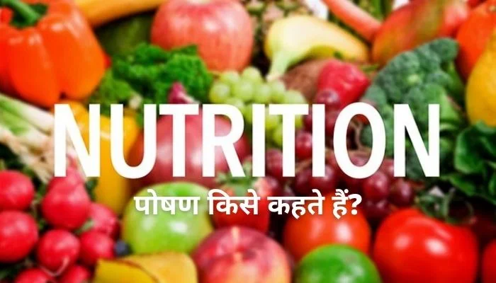 Poshan Kise Kahate Hain | पोषण किसे कहते हैं? जानें पूरी जानकारी