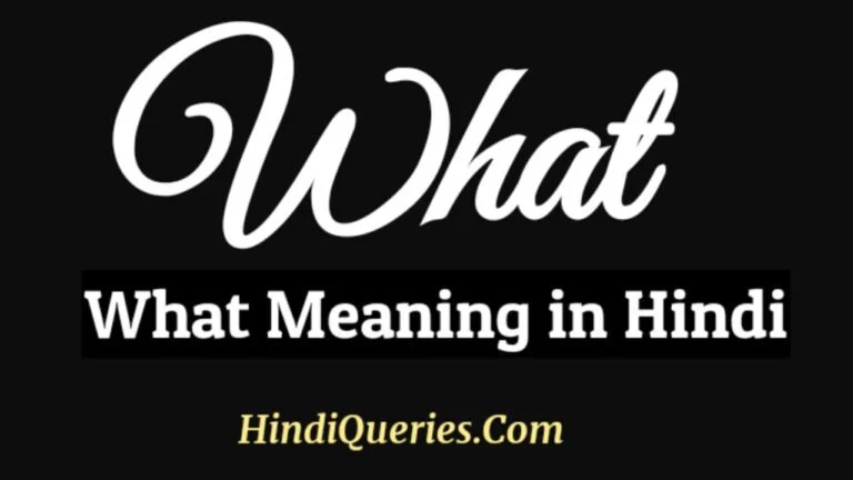 What Meaning in Hindi