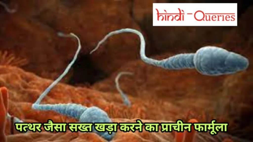 पत्थर जैसा सख्त खड़ा करने का प्राचीन फार्मूला