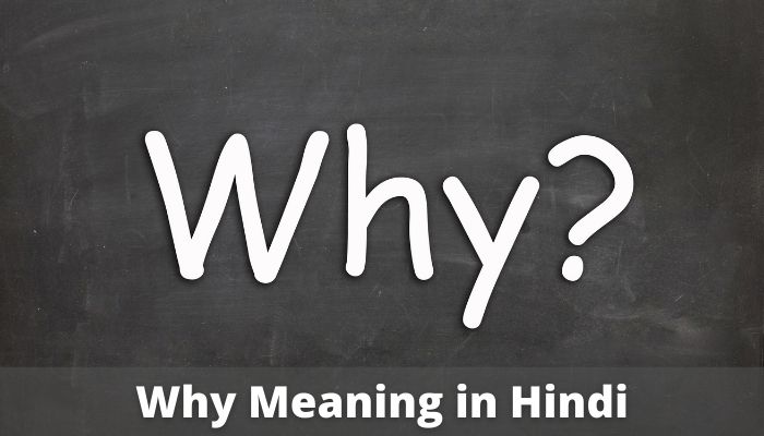Why Meaning in Hindi | Why का मतलब हिन्दी में