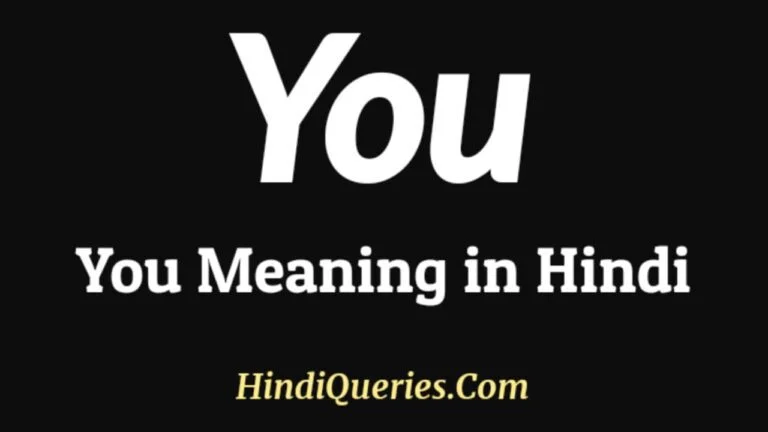 You Meaning in Hindi