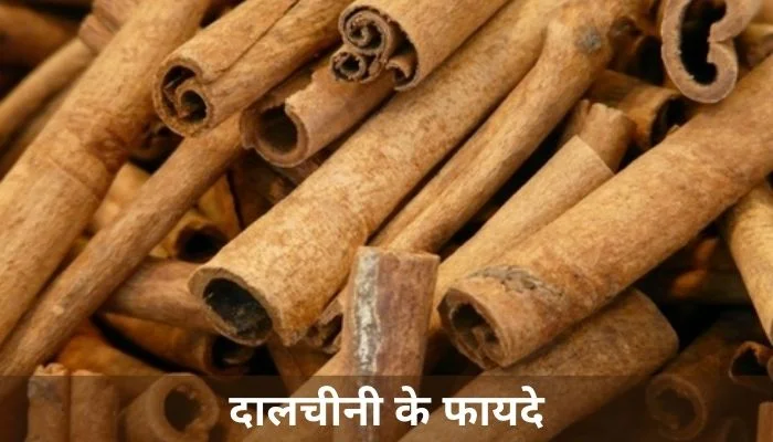 दालचीनी के फायदे | Benefits Of Cinnamon In Hindi