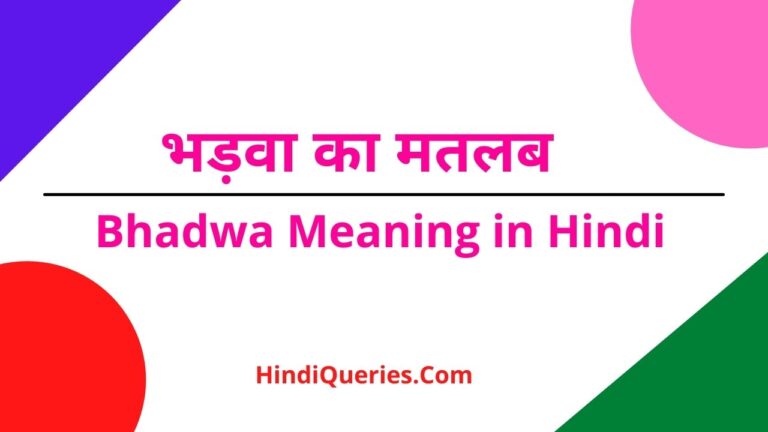 भड़वा का मतलब क्या होता है Bhadwa Meaning in Hindi