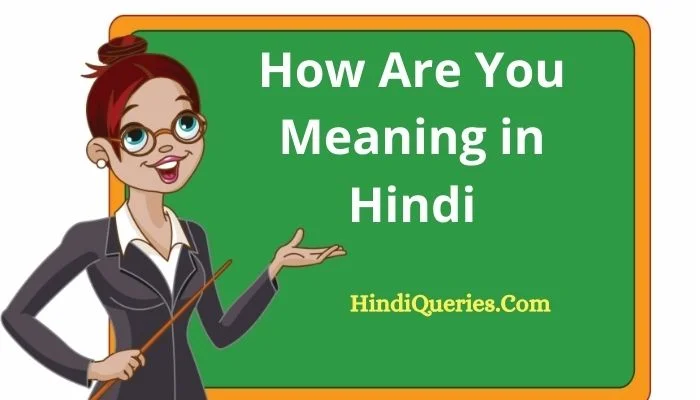 How Are You Meaning in Hindi