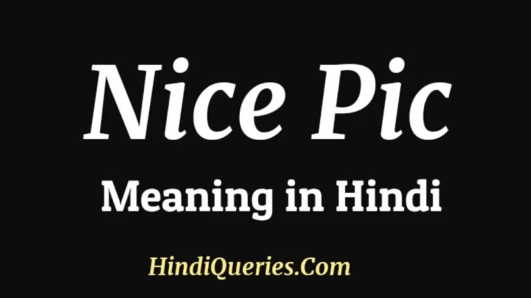Nice Pic Meaning in Hindi Social Media