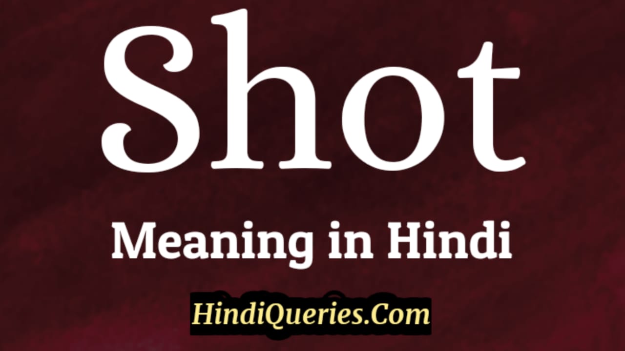 Shot Meaning in Hindi | शॉट मीनिंग इन हिंदी - HindiQueries