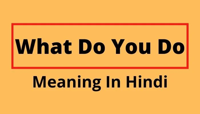 What Do You Do Meaning In Hindi