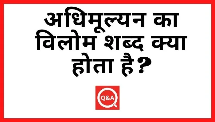 अधिमूल्यन का विलोम शब्द क्या होता है? | Adhimulyan Ka Vilom Shabd in Hindi