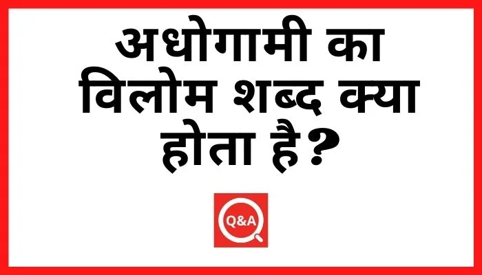 अधोगामी का विलोम शब्द क्या होता है Adhogami Ka Vilom Shabd in Hindi