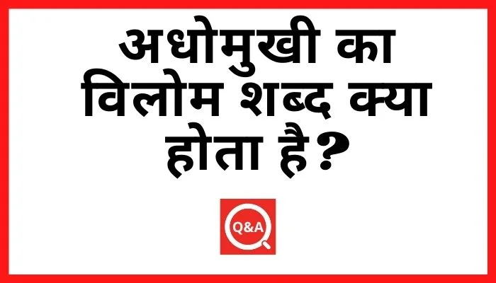 अधोमुखी का विलोम शब्द क्या होता है Adhomukhi Ka Vilom Shabd in Hindi