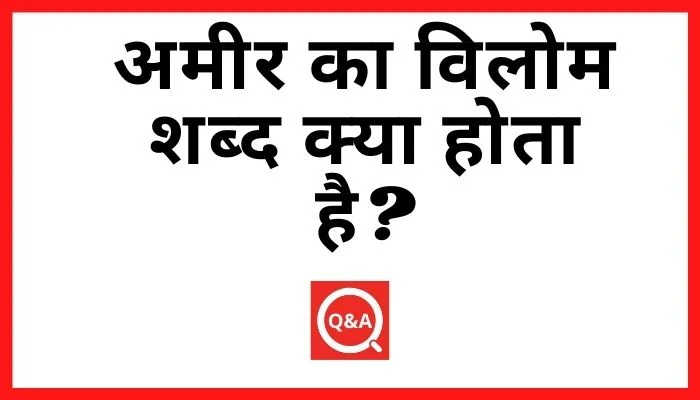 अमीर का विलोम शब्द क्या होता है? | Amir Ka Vilom Shabd in Hindi