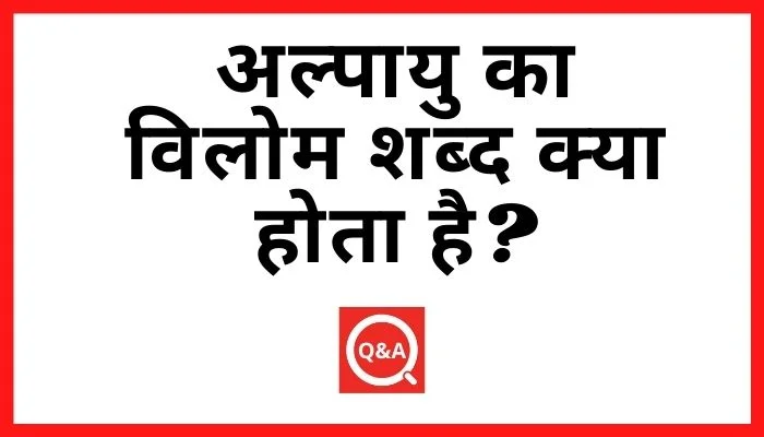 अल्पायु का विलोम शब्द क्या होता है Alpayu Ka Vilom Shabd in Hindi