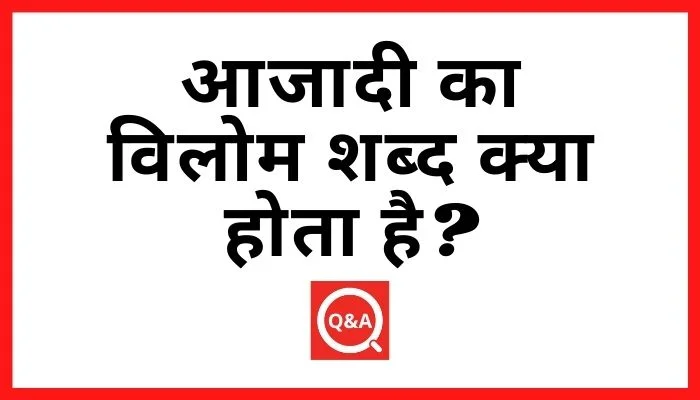 आजादी का विलोम शब्द क्या होता है
