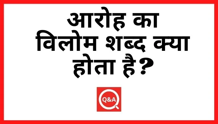 आरोह का विलोम शब्द क्या होता है? | Aaroh Ka Vilom Shabd in Hindi