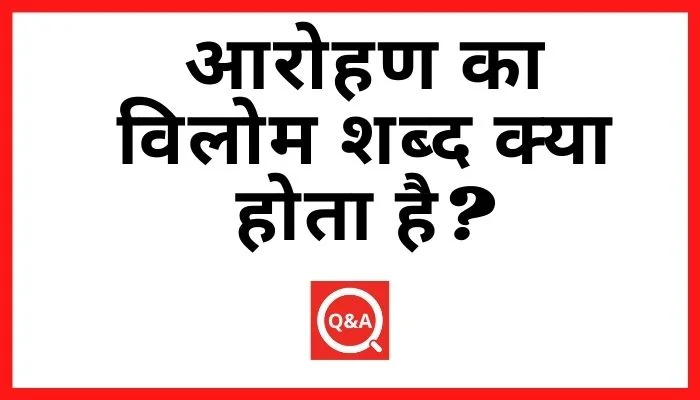 आरोहण का विलोम शब्द क्या होता है? | Aarohan Ka Vilom Shabd in Hindi