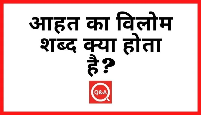 आहत का विलोम शब्द क्या होता है?