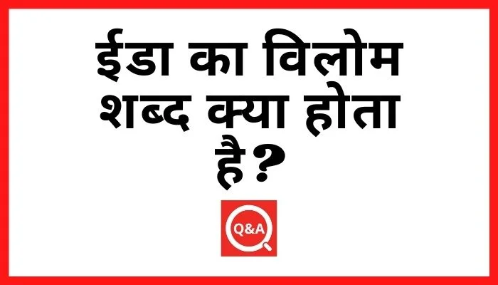 ईडा का विलोम शब्द क्या होता है