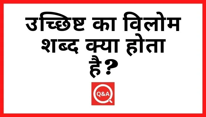 उच्छिष्ट का विलोम शब्द क्या होता है?