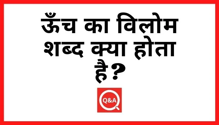 ऊँच का विलोम शब्द क्या होता है