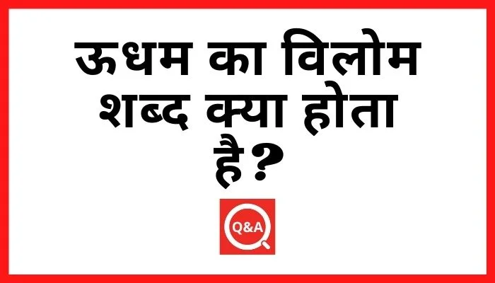 ऊधम का विलोम शब्द क्या होता है