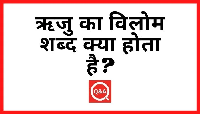ऋजु का विलोम शब्द क्या होता है