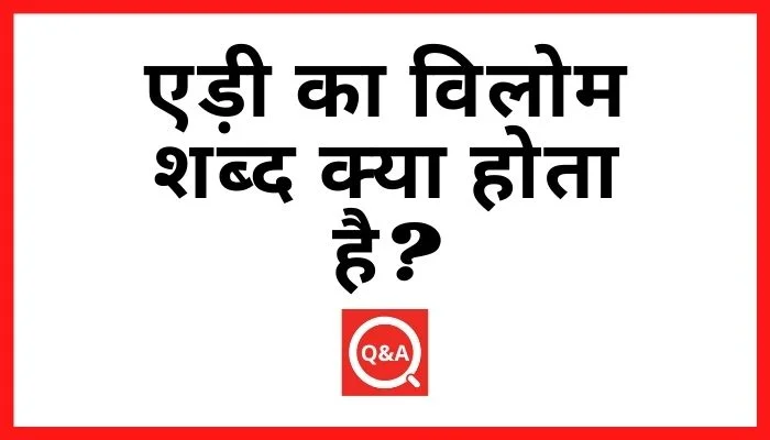 एड़ी का विलोम शब्द क्या होता है