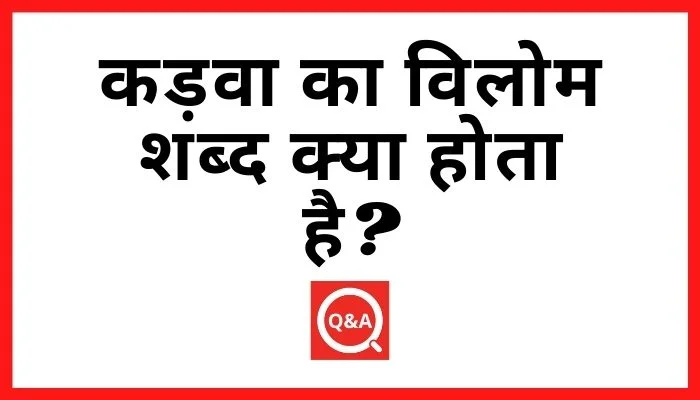 कड़वा का विलोम शब्द क्या होता है