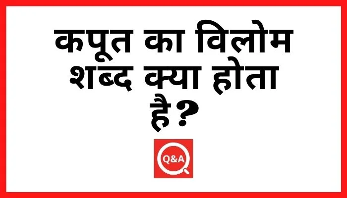 कपूत का विलोम शब्द क्या होता है