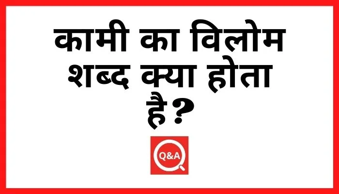 कामी का विलोम शब्द क्या होता है