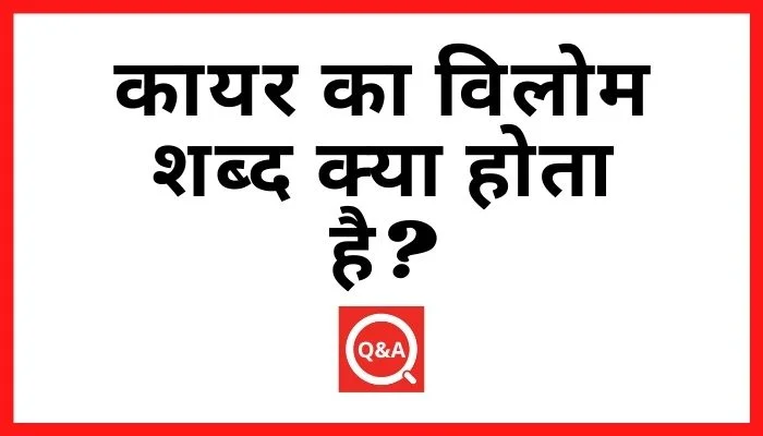 कायर का विलोम शब्द क्या होता है