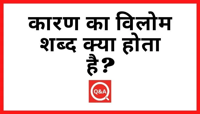 कारण का विलोम शब्द क्या होता है