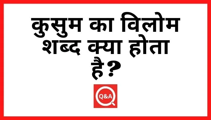 कुसुम का विलोम शब्द क्या होता है