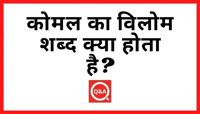 कोमल का विलोम शब्द क्या होता है