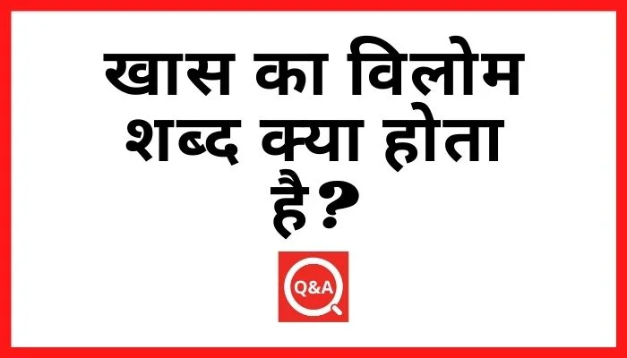 खास का विलोम शब्द क्या होता है