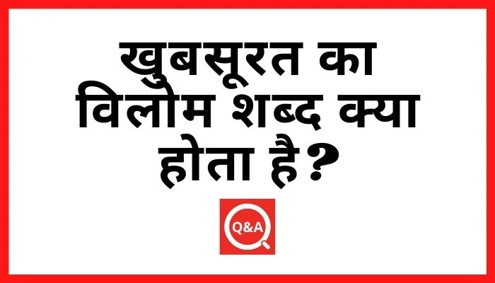 खुबसूरत का विलोम शब्द क्या होता है