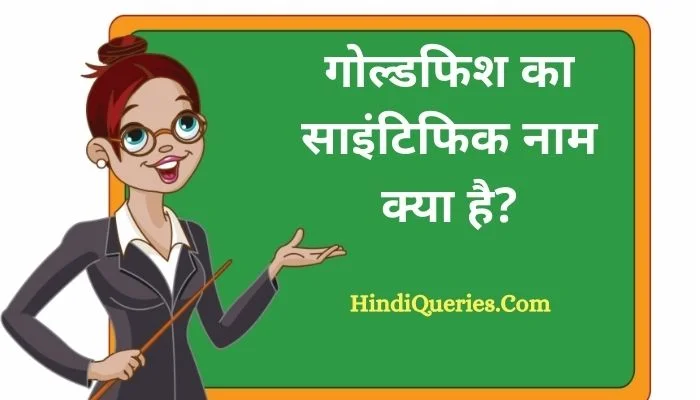 गोल्डफिश का साइंटिफिक नाम क्या है? | Goldfish Ka Scientific Naam Kya Hai