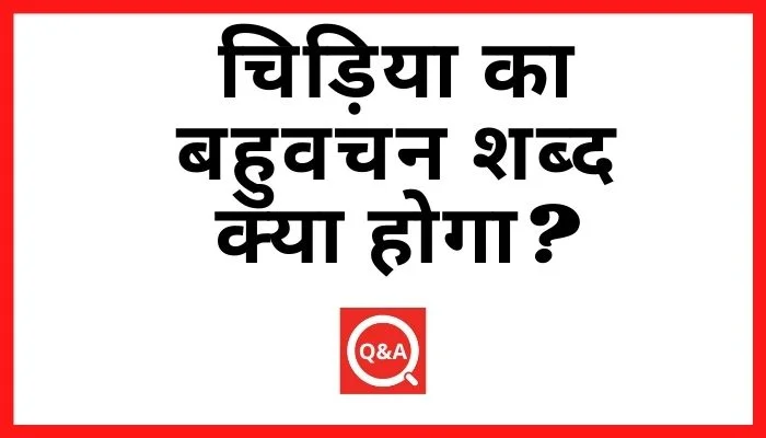 चिड़िया का बहुवचन शब्द क्या होगा Chidiya Ka Bahuvachan