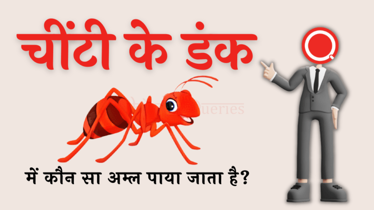 चींटी के डंक में कौन सा अम्ल पाया जाता है? | Chiti Ke Dank Mein Kaun Sa Amal Paya Jata Hai