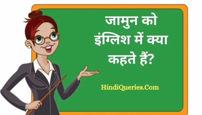जामुन को इंग्लिश में क्या कहते हैं? | Jamun ko english mein kya kahate hain