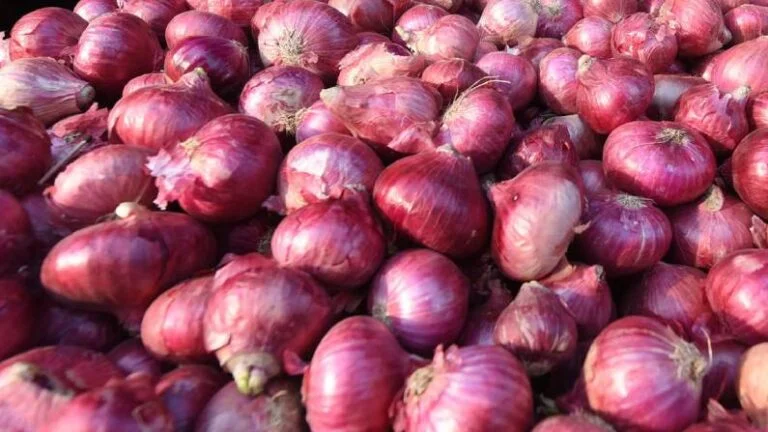 प्याज खरीदते समय ध्यान देने वाली बातें