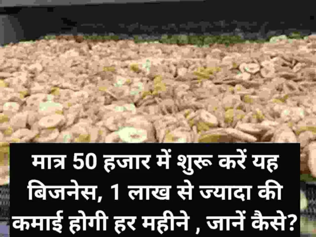Banana Chips Making Business in Hindi