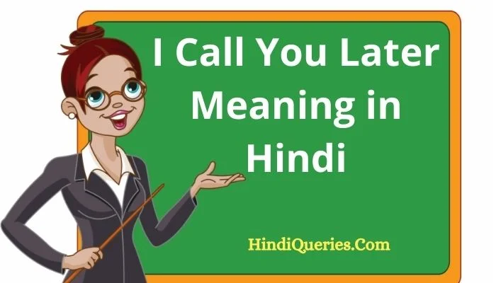 I Call You Later Meaning in Hindi
