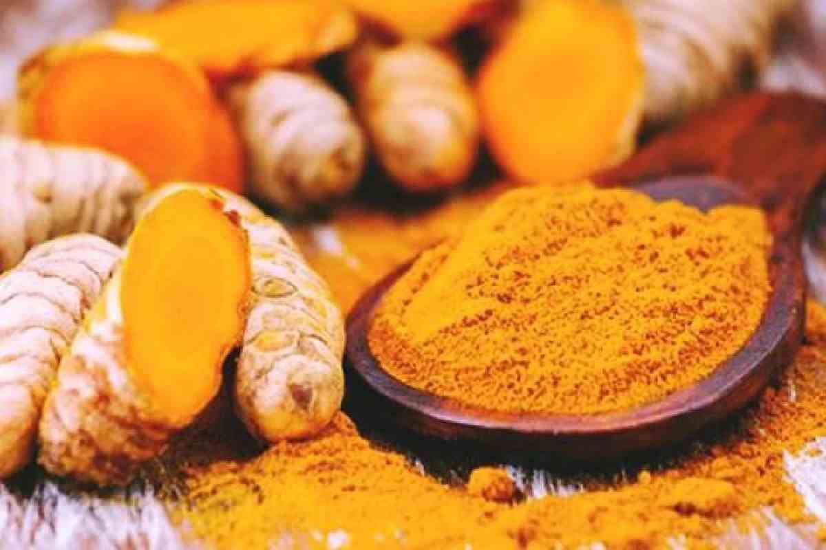 Turmeric Cultivation Business Ideas in Hindi